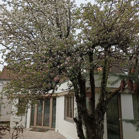 L'arbore, Maison D'architecte Avec Hammam Semesterbostad Rambouillet